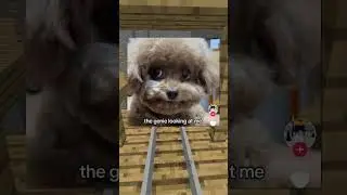 Internet's Most Criminal Posts!