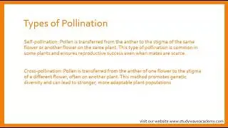 The Magic of Pollination: Unveiling the Secrets of Plant Reproduction.