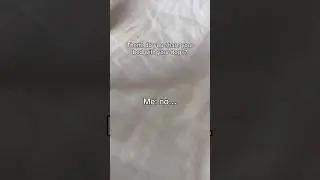 THIS Owner Says NO to Sharing Bed With His Dogs!!!