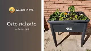 Orto rialzato - Piccolo orto in poco spazio sul balcone o in giardino