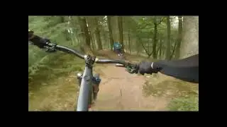 Triscombe trails. Quantocks.