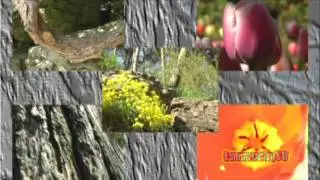 Original Creation Music Video Featuring Lavarocky  ( Lavarius )