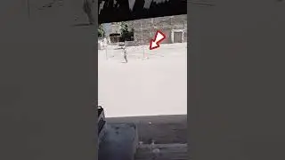 #funnyvideo #cuteshirts  with for end 🤪🤪🤪🤪🤪🤪🤪🤪🤪🤪🤪🤪🤪🤪