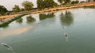 0 SIZE FISH SEED GROWTH  AFTER 40  DAYS | CATLA ROHU MIRGAL COMMON CARP