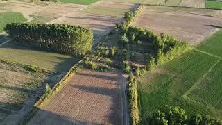 neoxori1