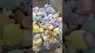 squishmallow hunting at five below easter squish!