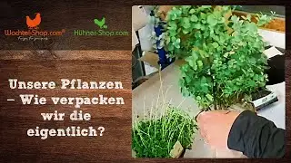 Unsere Pflanzen - Wie verpacken wir die eigentlich? Futterpflanzen richtig verpacken und verschicken
