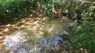 Nature, bathing place 