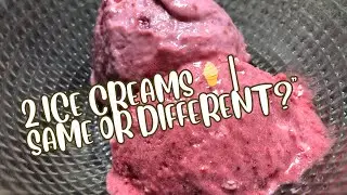 2 Different Types of Ice Cream 🍦 | Which One Is Better?