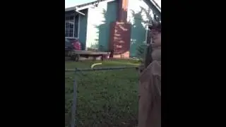 poop 7