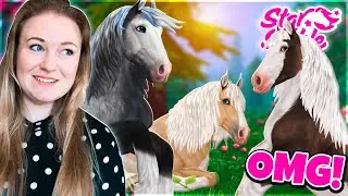 KÆMPE NYHED! HESTENE KAN NU LIGGE NED! | Dansk Star Stable #78