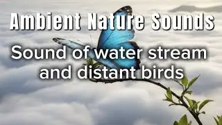 Ambient Nature Sounds , Rise and shine Wake up