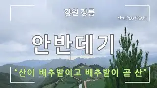 [강원 강릉] 안반데기(산이 배추밭이고 배추밭이 곧 산인 해발 1,100m)