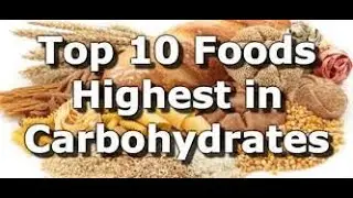 Top 10 best high protein low carbohydrate foods a healthy weight loss