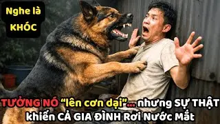 CON CHÓ Becgie ĐỘT NGỘT TẤN CÔNG chủ của mình - SỰ THẬT phía sau KHIẾN cả nhà BẬT KHÓC.