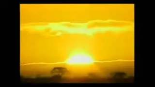 The Li&oacute;n King Reborn - Circle Of Life (Parody V&iacute;deo)