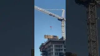 Working Early #crane #satisfying #shorts