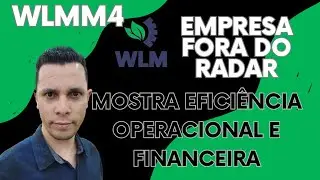 WLMM4- Small cap fora do radar  que entrega resultados s&oacute;lidos.