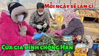 [183] một ngày làm việc của gia đình chồng Hàn ❤️