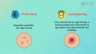 Tipos de picaduras