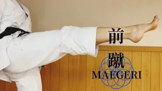 Karate Basic Technique: Mae Geri (前蹴) Tutorial