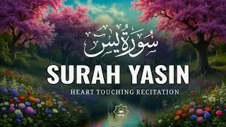 Surah Yasin (Yaseen) Full | سورۃ یس  ☘️ Surah Yasin Full | Best Quran |  Recitation | Noor-e-Quran 