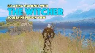Relaxing Moments with The Witcher: Toussaint Prison View
