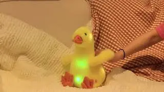 Cuteoy Light up Duck Plush Toy Farm LED Stuffed Animal Duckling Floppy Night Lights Glow in Dark.