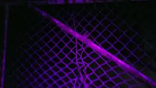 Sisquoc House Investigation
