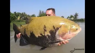 Fishing in Thailand at Jurassic Mountain Resort: Richard and Sebastian display tambaqui