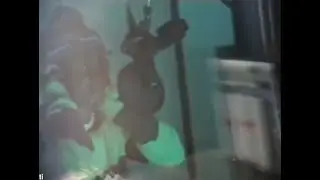 WLR Documentary leaked video| Die4Guy was different!?