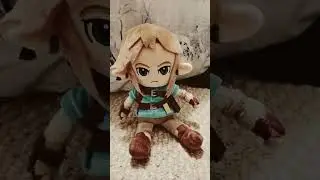 Guess the fandom! #fyp2025 #music #plush #fandoms #toys #2026 #splatoon #botw #pokemon
