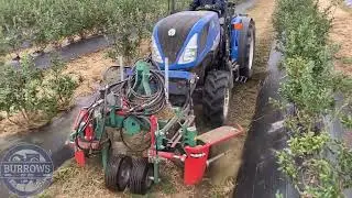 Clemens Multiclean