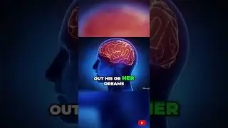 Unveiling the Mystery of Dread in REM Sleep