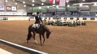 Walkable - NSBA World Champion: Sold to Amy Hassinger with Kim and Curtis Reynolds