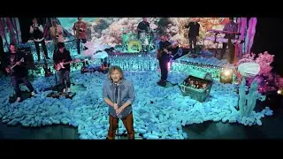 The Grouper Cheeks - I Go Swimming (Cover)