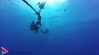Hawaii Scuba - vlog 001