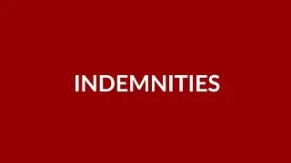 Indemnities & Limitations of Liability