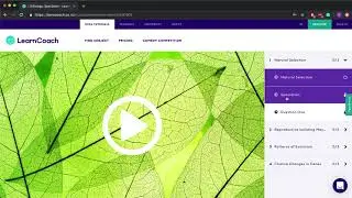 Find the Rest of the Playlist!