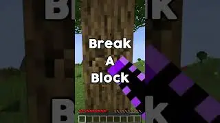 Minecraft But Everything Has Extreme XP FINALE