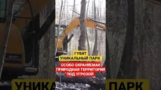 Губят уникальный парк: особо охраняемая природная территория под угрозой #экология #парк #shorts