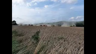 Ernte 2021 - Weizen | 6 Claas Lexion & 2 Case Quadtrac | Raw Sound
