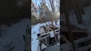 maple wood hauling #canada #hauling #firewood #winter2026