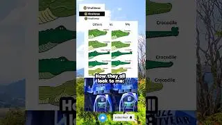 All Crocodiles Look the Same to Me 😭 | Funny Meme Shorts