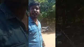 RBL credit card recovery agent harassment in my home