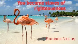 Slaves of righteousness for holiness - Romans 6:12-19