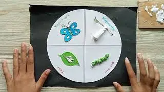 Cara Membuat Metamorfosis Kupu-kupu II Media Pembelajaran  Proses Metamorfosis Kupu-kupu