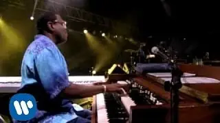 Eric Clapton - Reptile (Live Video Version)