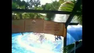 Big Wet Bubble
