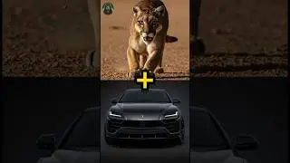 Incredible Animal Fusion Mind Blowing Creatures Formed by Fusing Different Species #shorts #hybrid